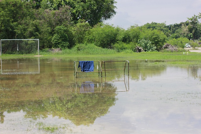 這種現象不 這種現象不