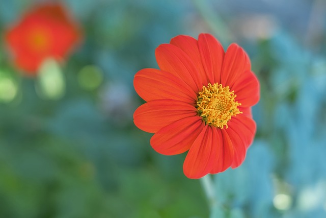 统霸主虽然 统霸主虽然