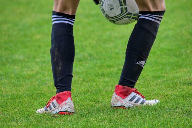 验无疑值得 验无疑值得