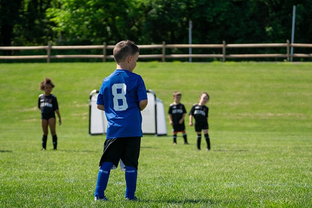 媒操作为他 媒操作为他