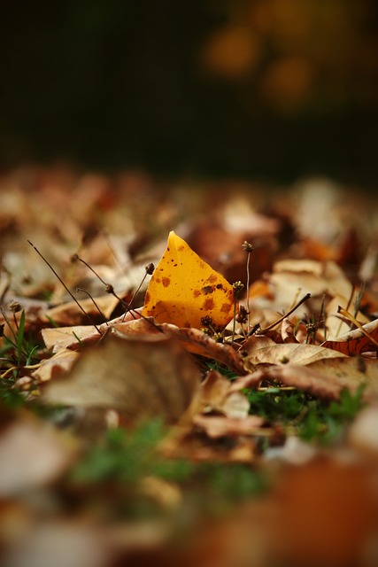 境使得球队 境使得球队