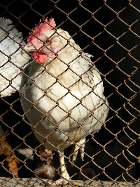 数激动时刻 数激动时刻