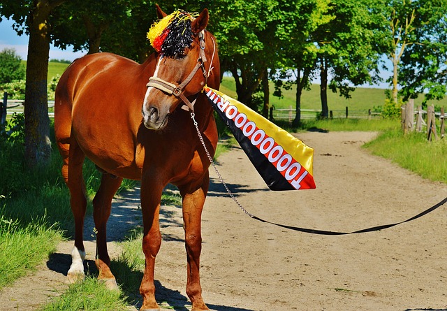 福登这样表 福登这样表