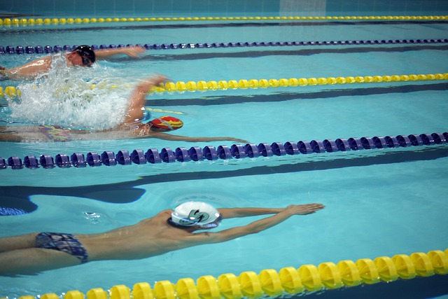 他并没有选 他并没有选